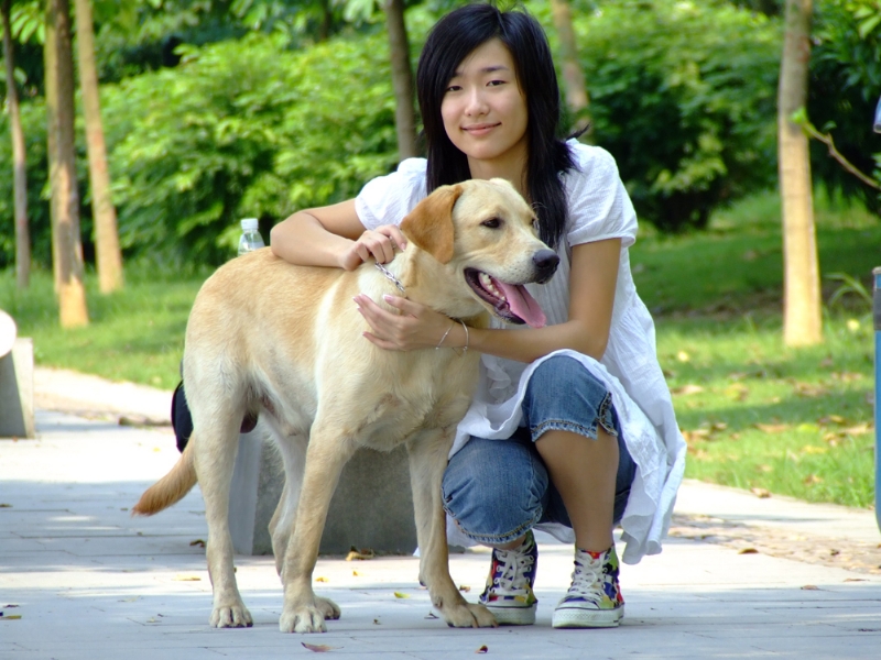 风中的绿叶的第一张照片--揭阳相亲服务中心