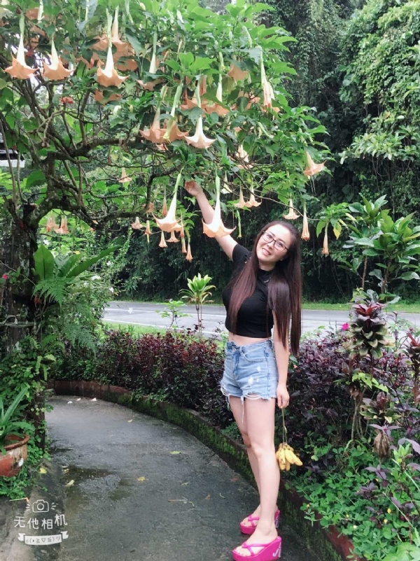 离异单身无子的第二张照片--揭阳相亲服务中心