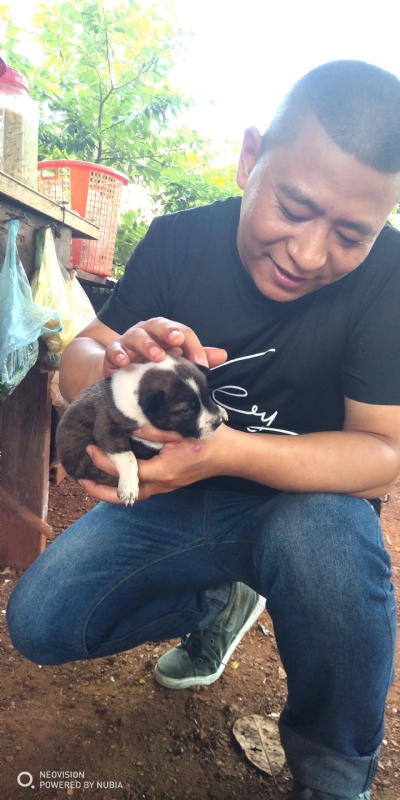 深圳相亲的第一张照片--揭阳相亲服务中心