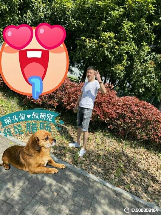 我若不坚强谁替我勇敢的第五张照片--揭阳相亲服务中心