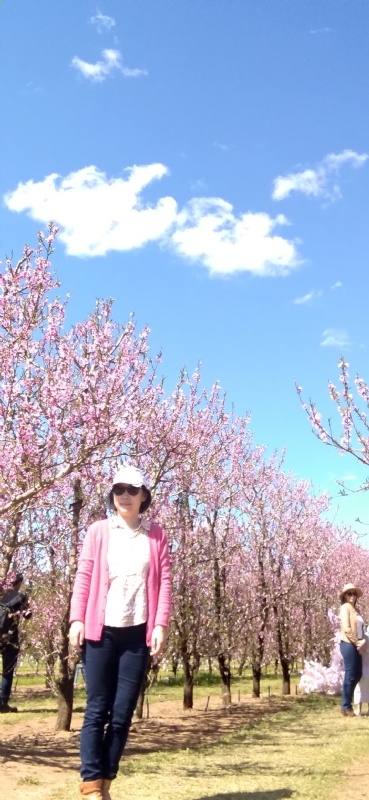 Grace的第二张照片--揭阳相亲服务中心