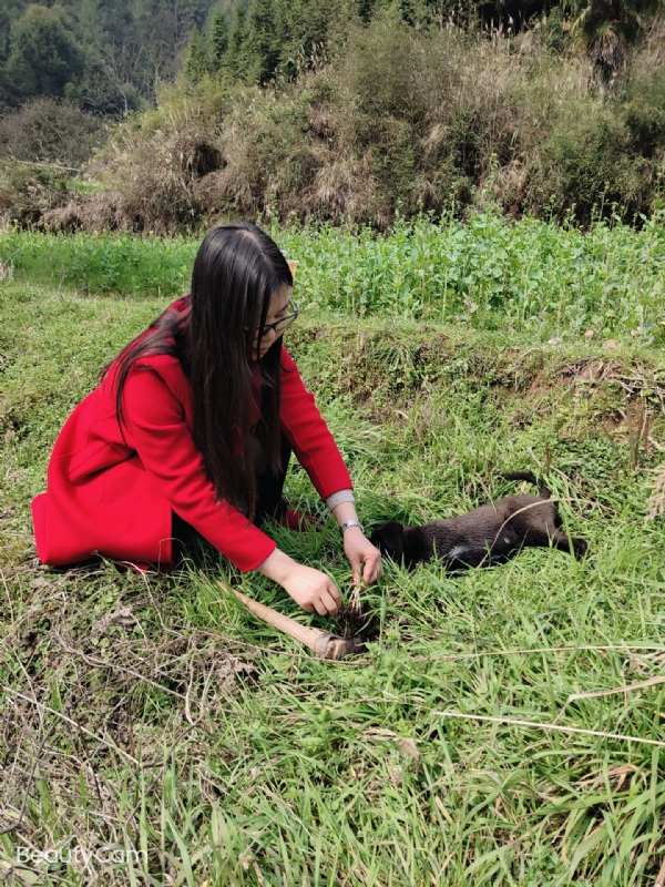 下一个春和秋的第一张照片--揭阳相亲服务中心