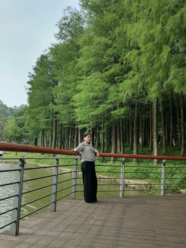 遗失的记忆的第二张照片--揭阳相亲服务中心