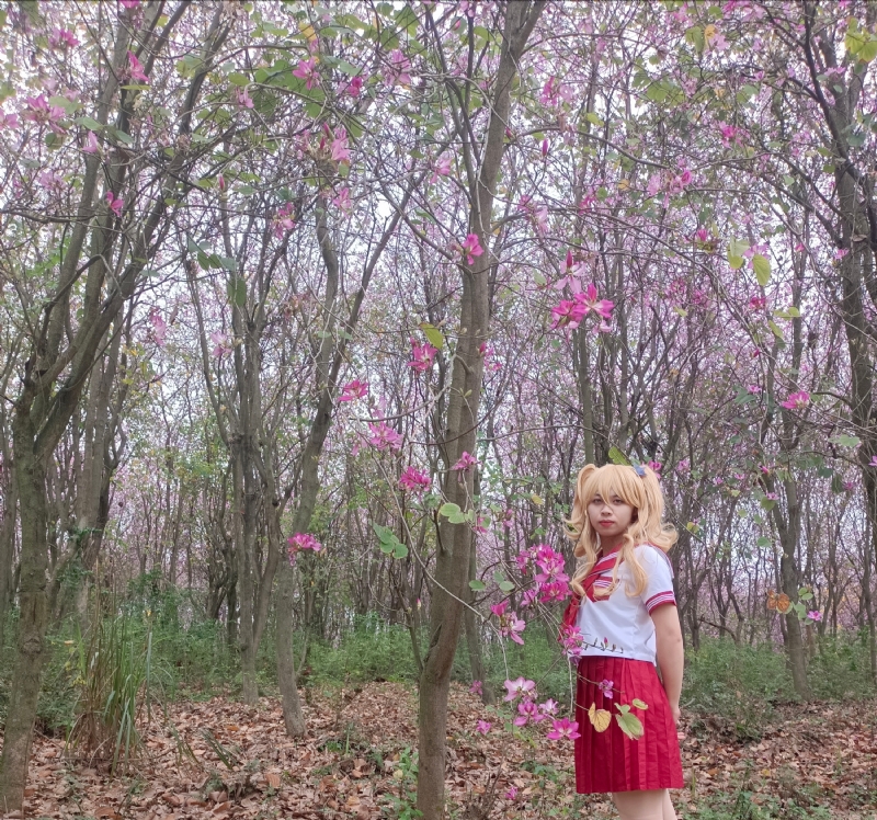 暮秋的第三张照片--揭阳相亲服务中心