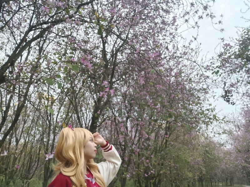 暮秋的第五张照片--揭阳相亲服务中心