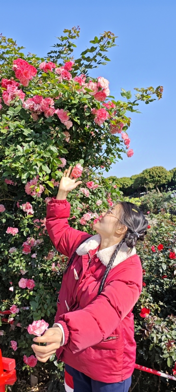 狗狗的第一张照片--揭阳相亲服务中心