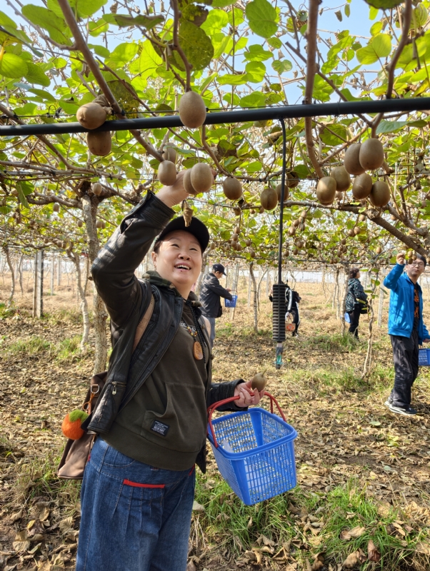 夜莺的第三张照片--揭阳相亲服务中心